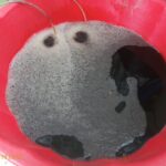 Ủ phân hữu cơ (Bài 2): Tỷ lệ carbon Nitrogen có  thực sự quan trọng khi ủ phân?
