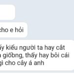 Khi nhân giống cây vạn lộc thì bôi loại thuốc gì vào vị trí vết cắt