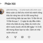 Cây trầu bà vàng leo cột trồng thủy sinh được không?